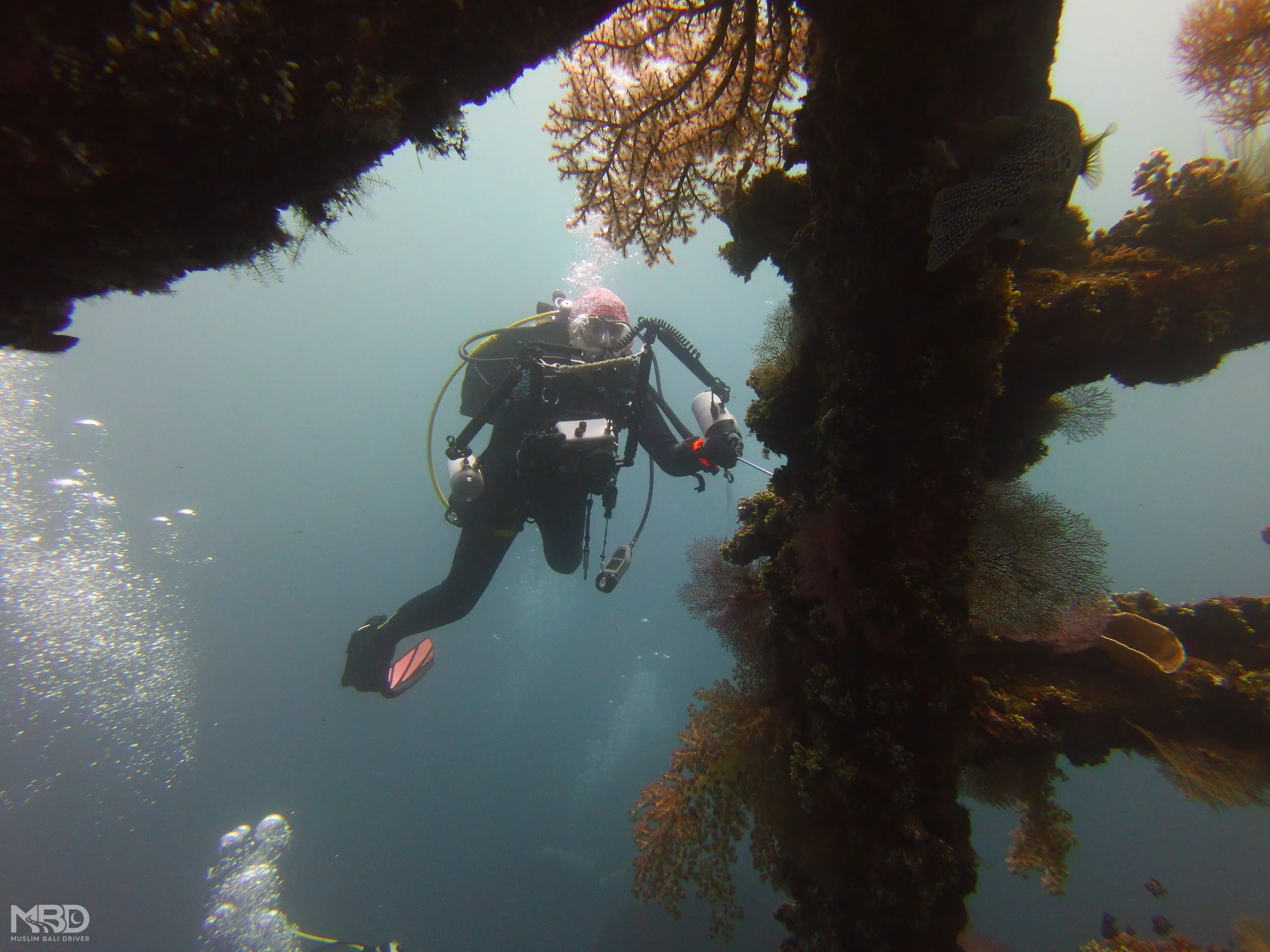 A scuba diver exploring a coral reef in Bali.