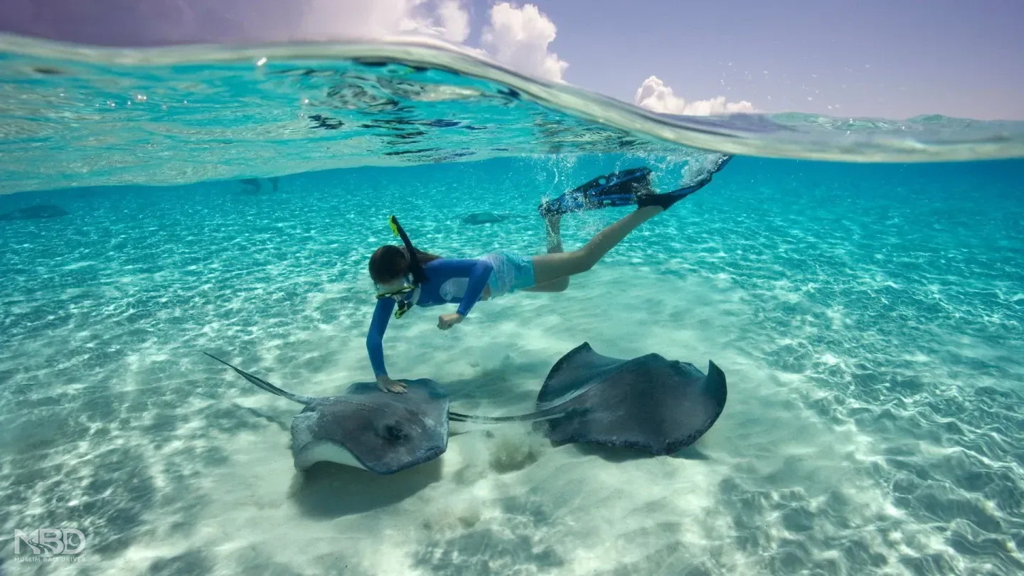 Nusa Penida Island Escape · West & East Coast Tours — 5