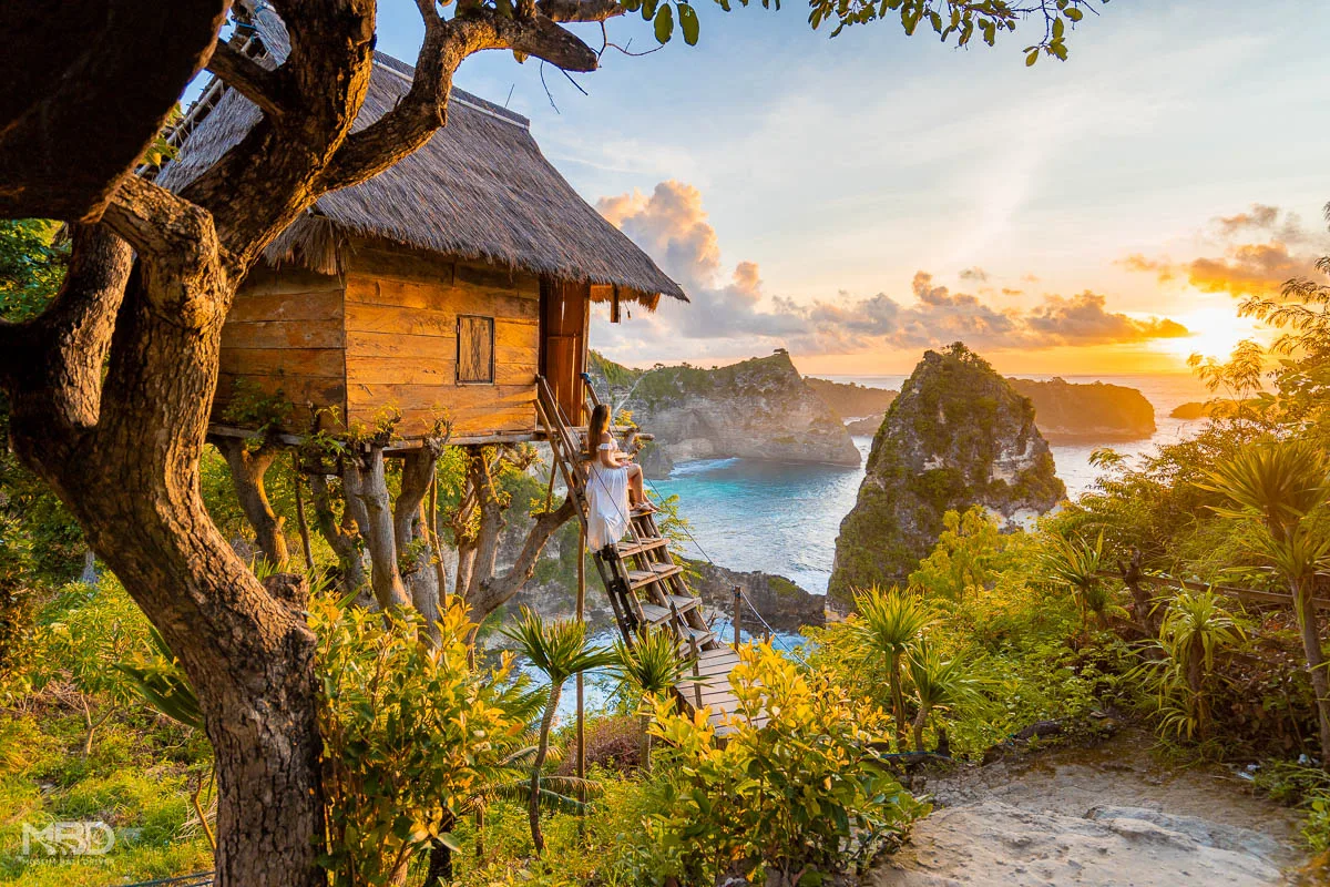Molenteng Tree House